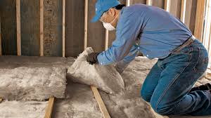 Best Insulation Removal  in Louise, TX